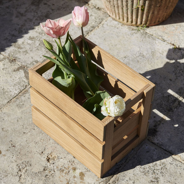 Dania High Box