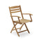 Selandia Folding Armchair  option Chair Only