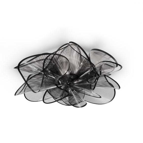 La Belle Etoile Wall / Ceiling Light