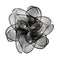 La Belle Etoile Wall / Ceiling Light  option Black