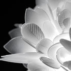 Veli Foliage Wall/Ceiling Light