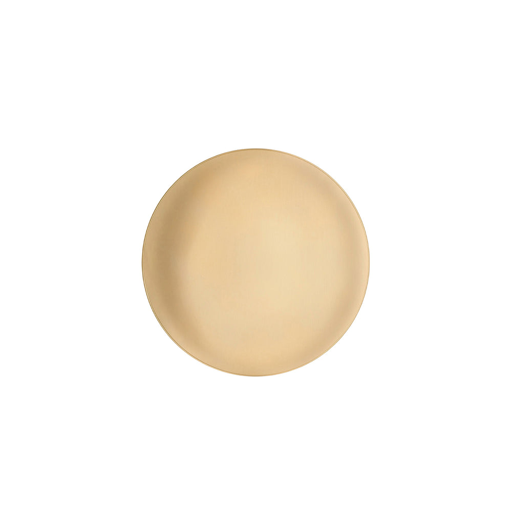 Anoor LED Wall/Ceiling Light