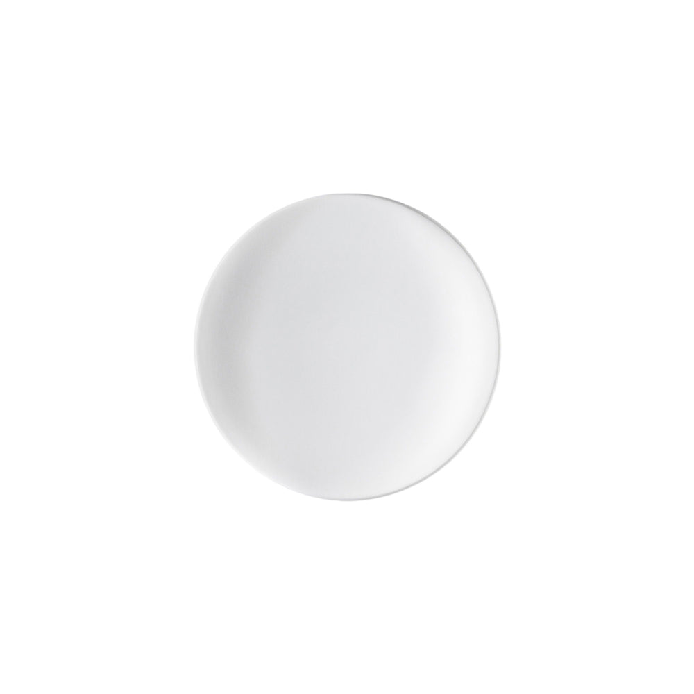 Anoor LED Wall/Ceiling Light
