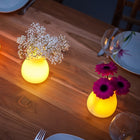 Olio Outdoor Bluetooth LED Table Lamp