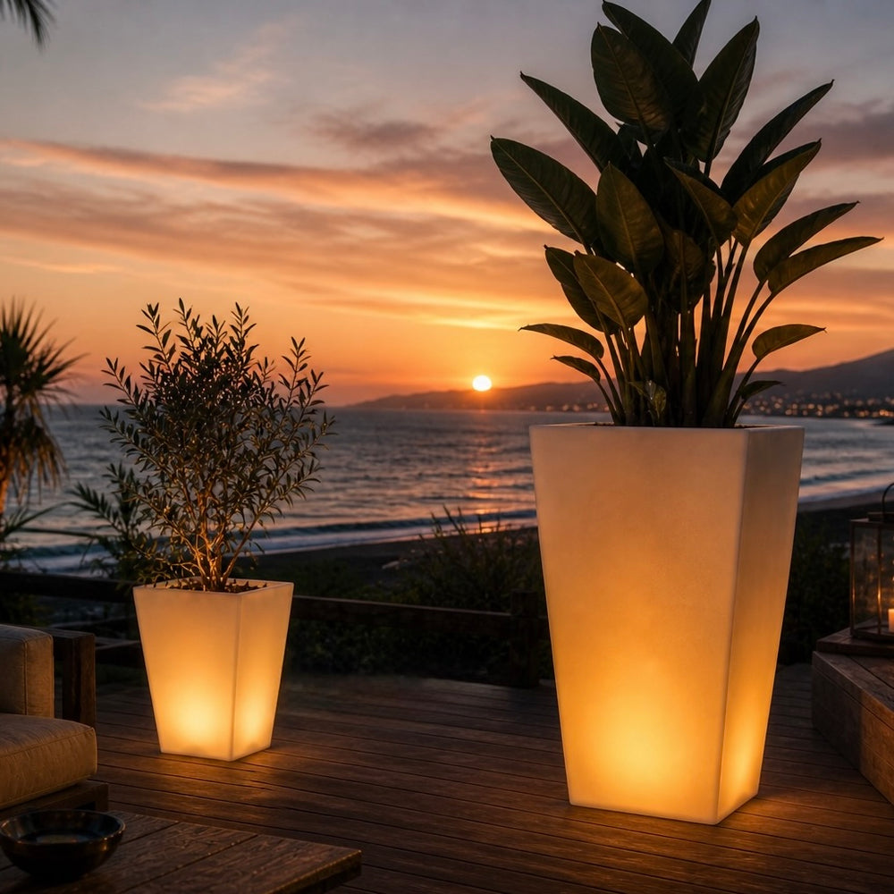 Rumba Illuminated Bluetooth LED Outdoor Pot Plant