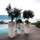 Rumba Illuminated Bluetooth LED Outdoor Pot Plant