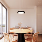 Pi LED Pendant Light