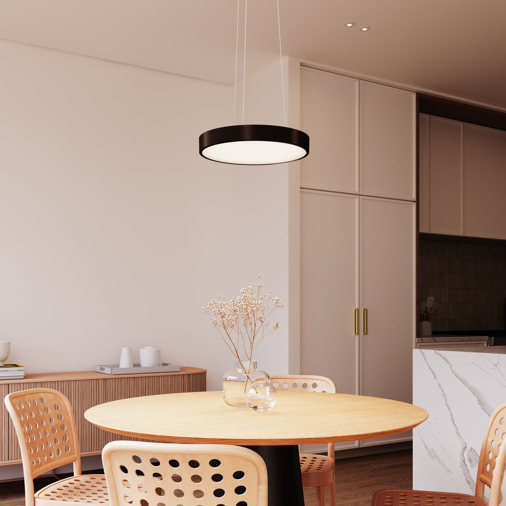 Pi LED Pendant Light