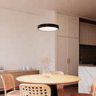 Pi LED Pendant Light