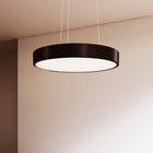 Pi LED Pendant Light