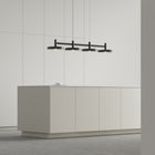 Systema Staccato Linear Pendant Light