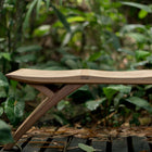 Ylla Outdoor Bench