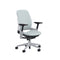Leap Office Chair  option Billiard Sea Salt / Platinum Solid