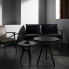 Ren 2-Seater Sofa