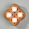 Quad Dot Wall Sconce  option Clear White Oak