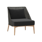 Andria Outdoor Lounge Chair