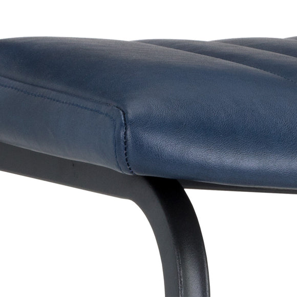 Berkley Dining Chair (Set of 2)