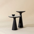 Chizu Nesting End Table (Set of 2)