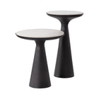 Chizu Nesting End Table (Set of 2)