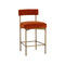 Seneca Counter Stool  option Danny Rust / Antique Brass