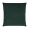 Eesha Throw Pillow  option ESH-013