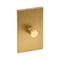 Dimmer Accessory  option Brass