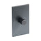Dimmer Accessory  option Graphite