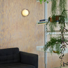 Firth Outdoor LED Wall Light