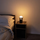Loop Table Lamp