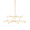 Root Chandelier  option 14 Light