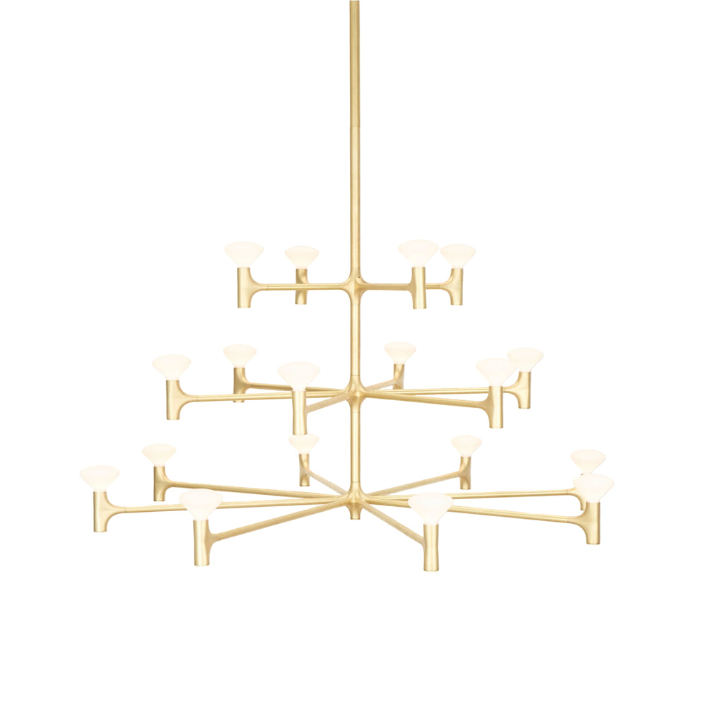 Root Chandelier