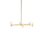 Root Chandelier  option 6 Light