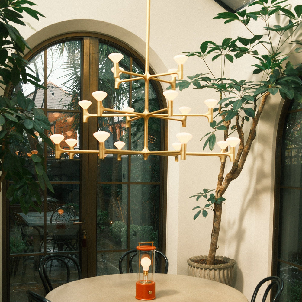 Root Chandelier