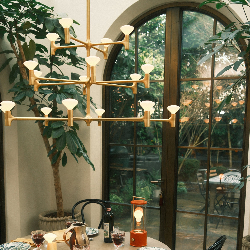 Root Chandelier