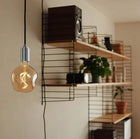 Voronoi Plug-In LED Pendant Light
