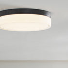 Sean Lavin Cirque Flush Mount