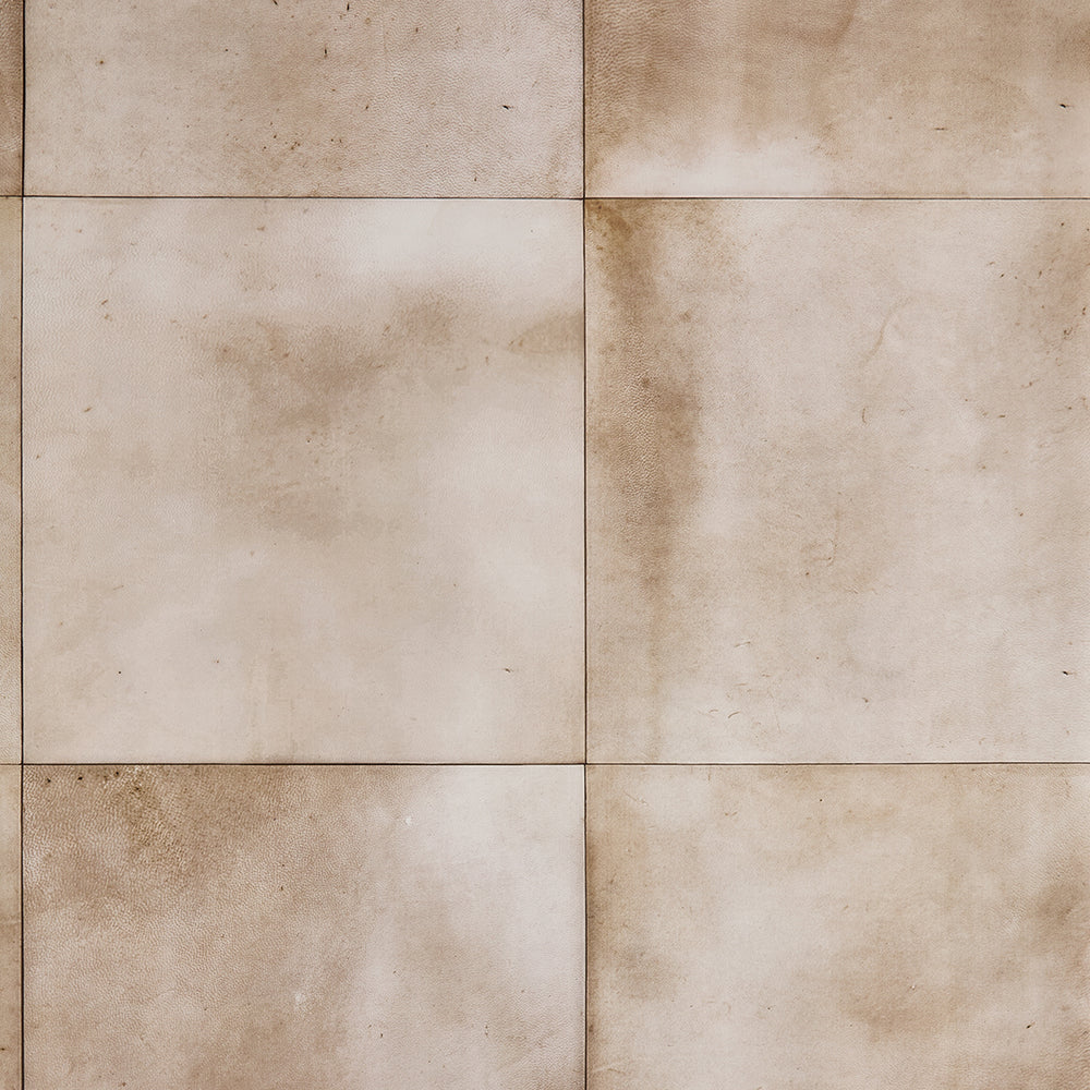 The Collector's Study Peel and Stick Wallpaper