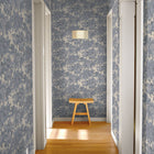 Canopy Toile Faux Grasscloth Removable Wallpaper