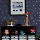 Constellations Wallpaper