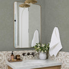Faux Roman Clay Peel and Stick Wallpaper