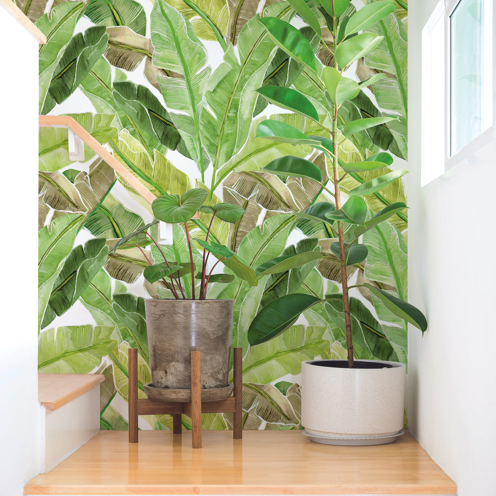 Palm Leaves Mural Peel and Stick Wallpaper