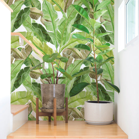 Palm Leaves Mural Peel and Stick Wallpaper