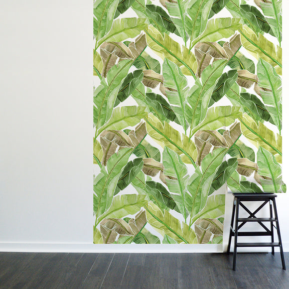 Palm Leaves Mural Peel and Stick Wallpaper