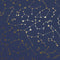Constellations Wallpaper Sample Swatch  option Navy Sample