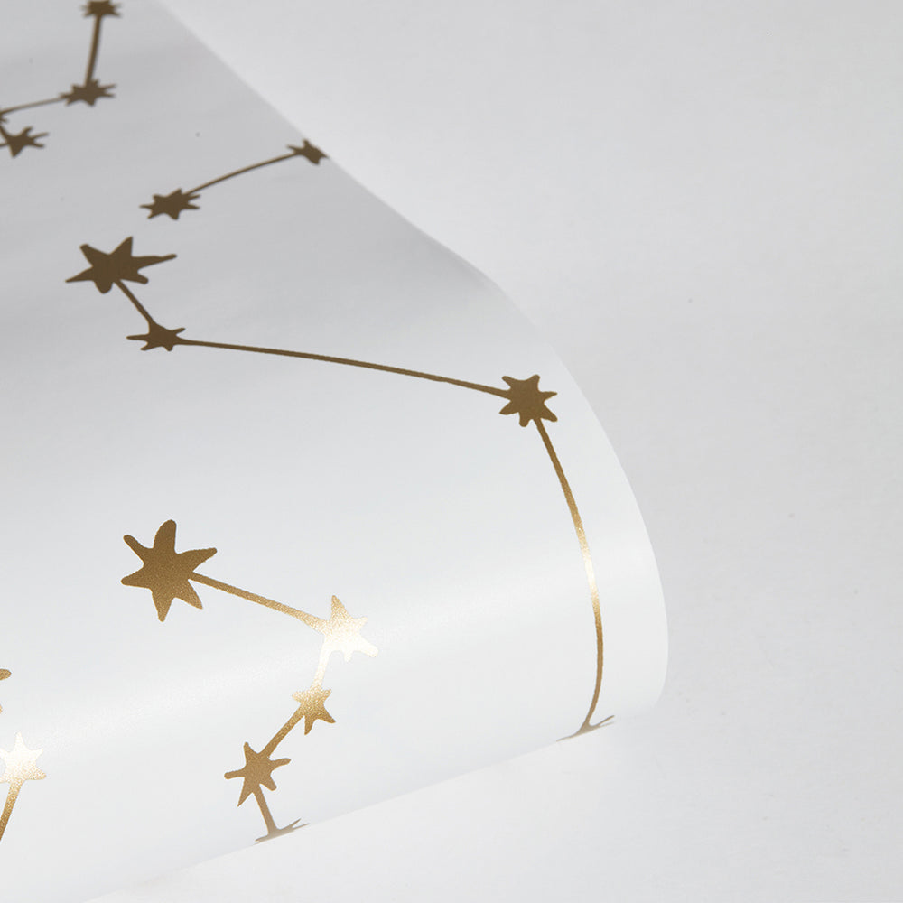 Constellations Peel and Stick Wallpaper