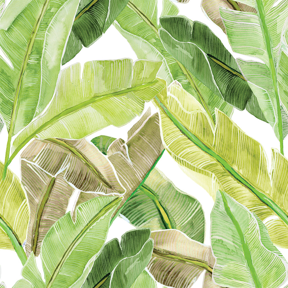 Bahama Palm Peel and Stick Wallpaper Sample Swatch