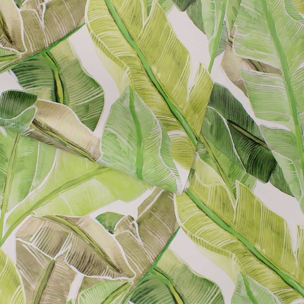 Bahama Palm Peel and Stick Wallpaper