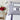 Essential Simple Euro Sham (Set of 2)