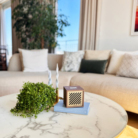 Boutique Bluetooth Speaker