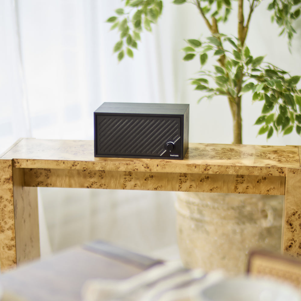 Model Two Digital Speaker